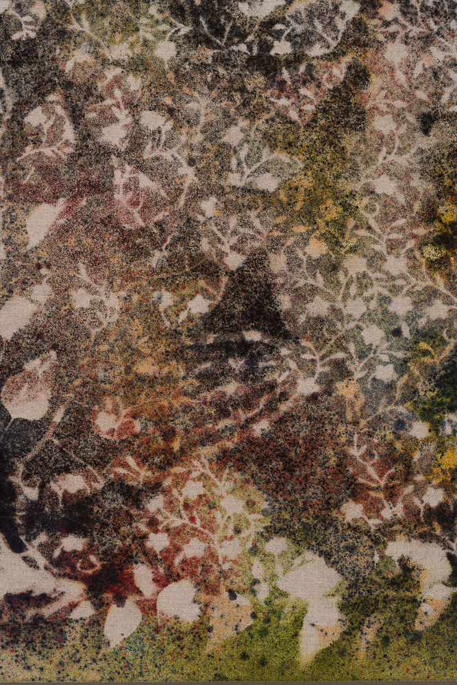 Sam Falls

Cyparissus

2020

Pigment on canvas

46 1/2 x 32 inches (118.1 x 81.3 cm)

SFA 337

$40,000