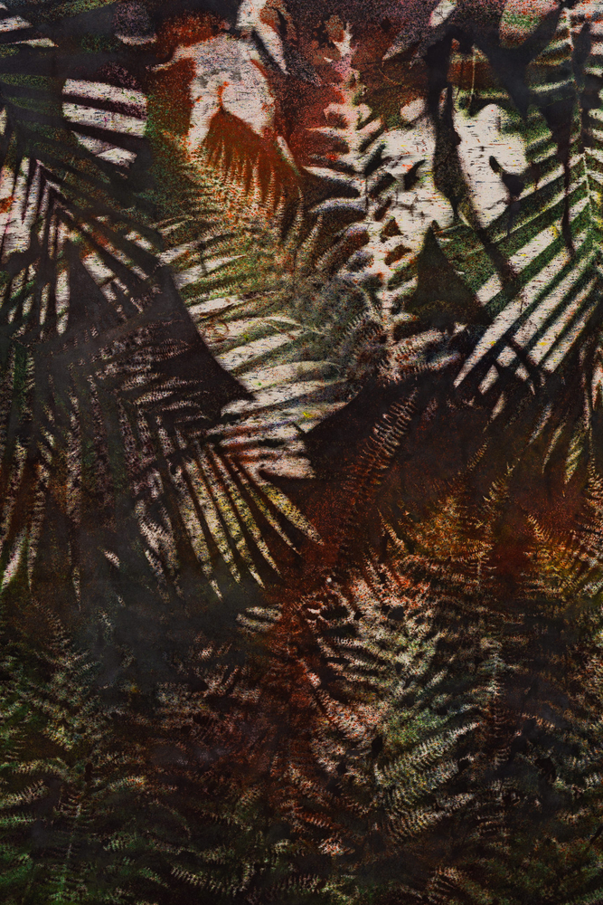 Sam Falls

Ancient Night

2020

Pigment on canvas

67 x 137 inches (170.2 x 348 cm)

Signed and dated verso

SFA 375

$75,000