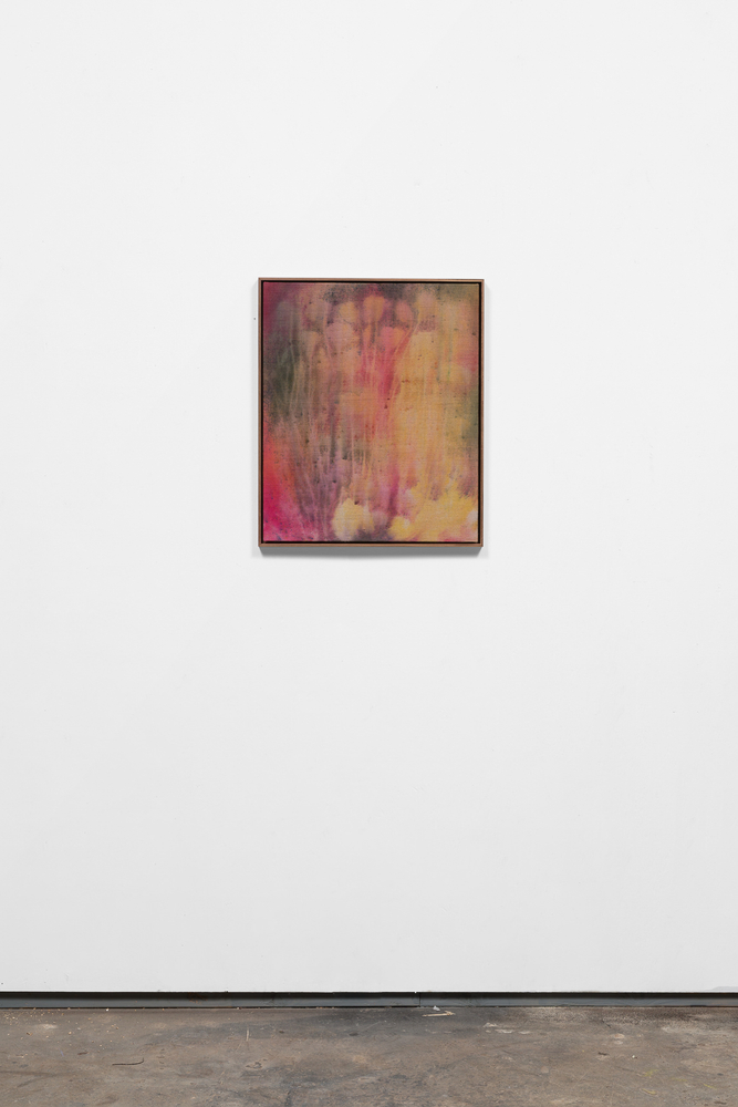 Sam Falls

April

2020

Pigment on canvas

22 1/2 x 18 3/4 inches (57.2 x 47.6 cm)

23 1/2 x 19 3/4 inches (59.7 x 50.2 cm) framed

SFA 352

$25,000