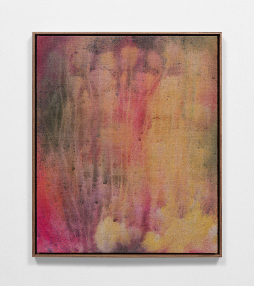 Sam Falls

April

2020

Pigment on canvas

22 1/2 x 18 3/4 inches (57.2 x 47.6 cm)

23 1/2 x 19 3/4 inches (59.7 x 50.2 cm) framed

SFA 352

$25,000