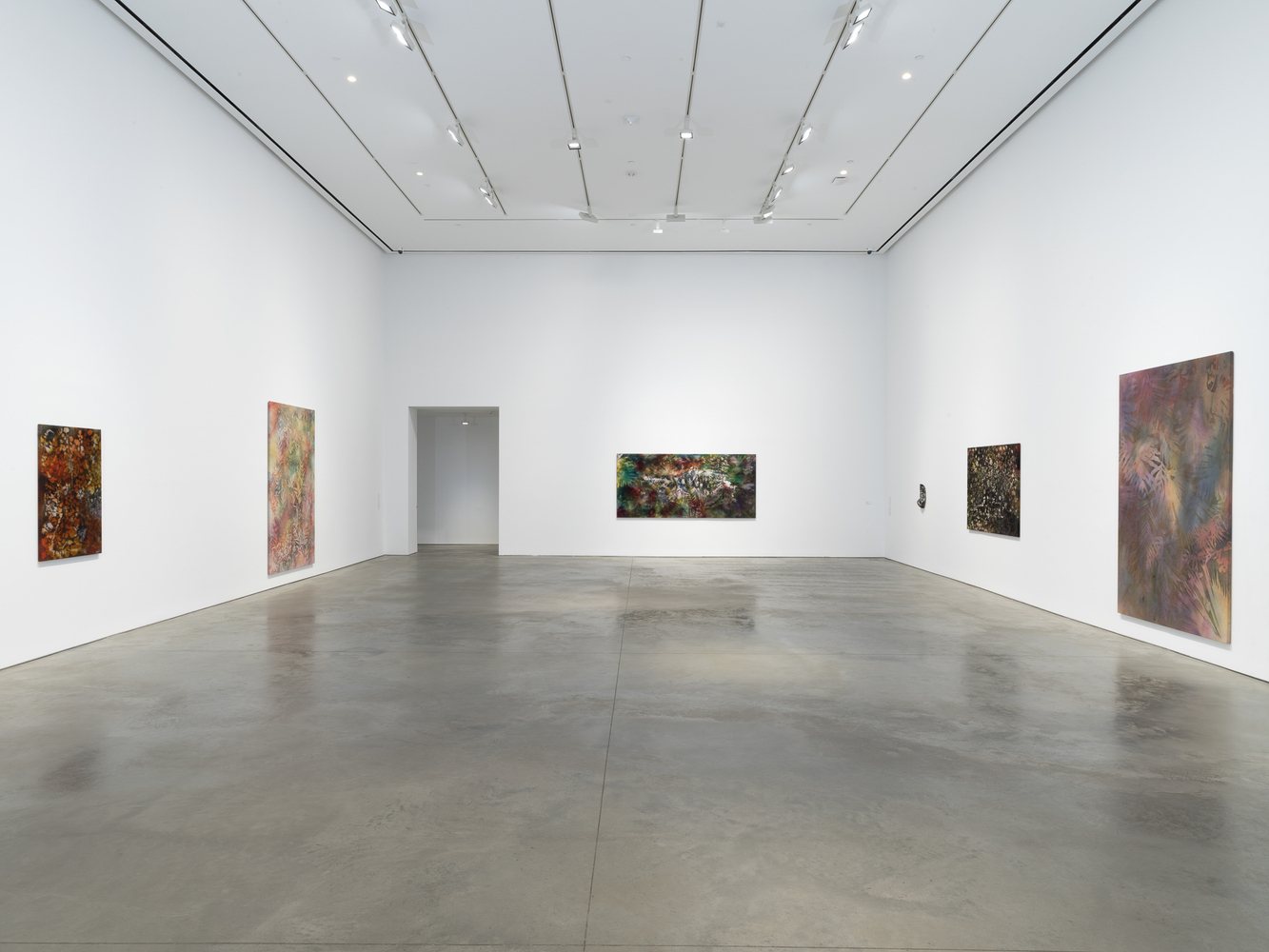 Exhibition view:&amp;nbsp;Sam Falls, 303 Gallery, New York, 2020