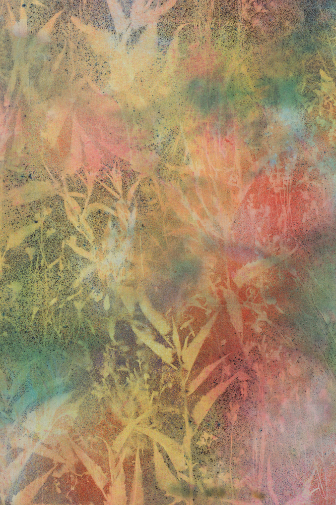 Sam Falls

Coronado National Forest

2020

Pigment on canvas

96 x 62 inches (243.8 x 157.5 cm)

SFA 341

$65,000