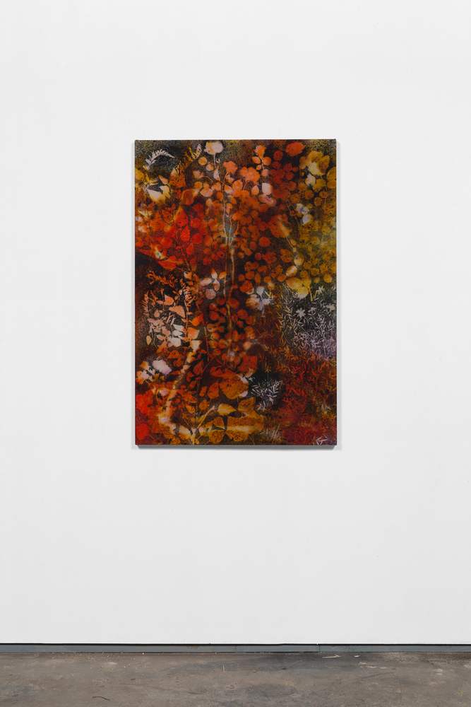 Sam Falls

Midnight Garden (Jnana)

2020

Pigment on canvas

47 x 31 inches (119.4 x 78.7 cm)

SFA 361

$40,000