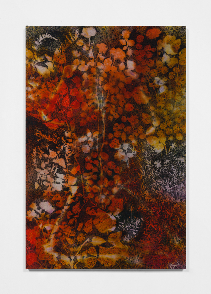 Sam Falls

Midnight Garden (Jnana)

2020

Pigment on canvas

47 x 31 inches (119.4 x 78.7 cm)

SFA 361

$40,000