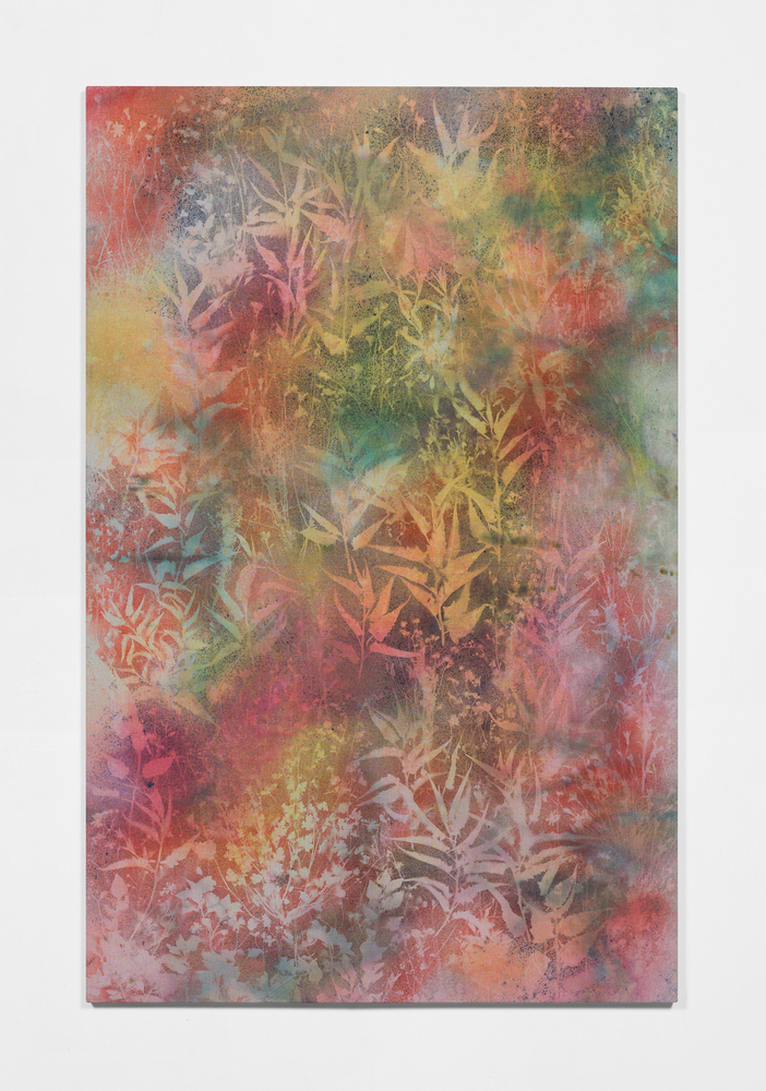 Sam Falls

Coronado National Forest

2020

Pigment on canvas

96 x 62 inches (243.8 x 157.5 cm)

SFA 341

$65,000