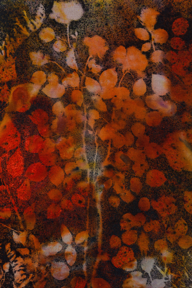 Sam Falls

Midnight Garden (Jnana)

2020

Pigment on canvas

47 x 31 inches (119.4 x 78.7 cm)

SFA 361

$40,000