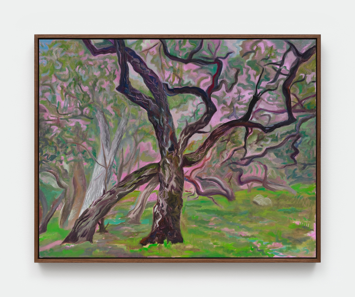 A painting by Mira Dancy of arching oak trees in a green meadow with a pink sky in the background.