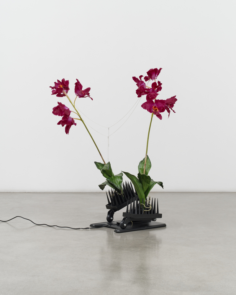 A sculpture by Rachel Youn of two plastic stemmed maroon colored flowers with a necklace between them that moves backwards and forwards on wheeled platforms.