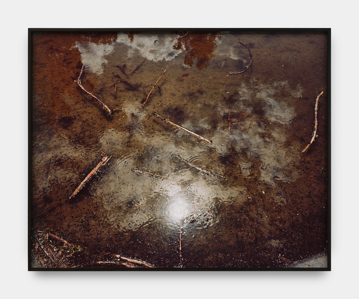 A framed photograph by Melanie Schiff of twigs in a shallow body of water reflecting the sun and clouds.