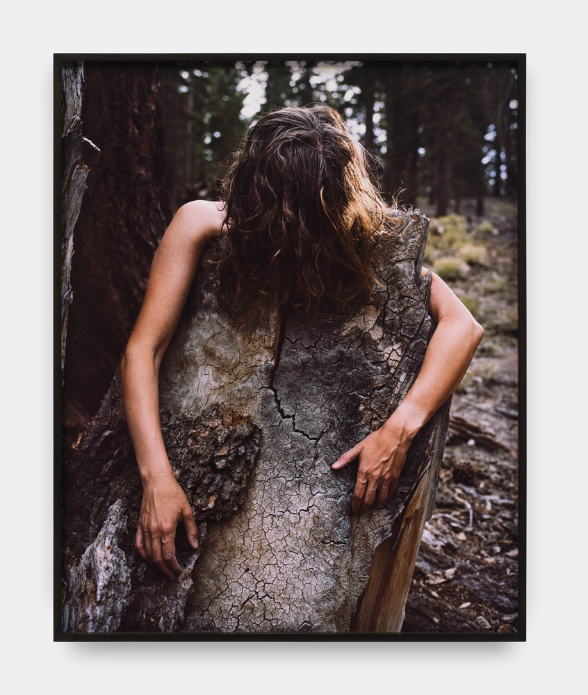 A framed photograph by Melanie Schiff of a woman with brown hair with her arms wrapped around a tree stump.