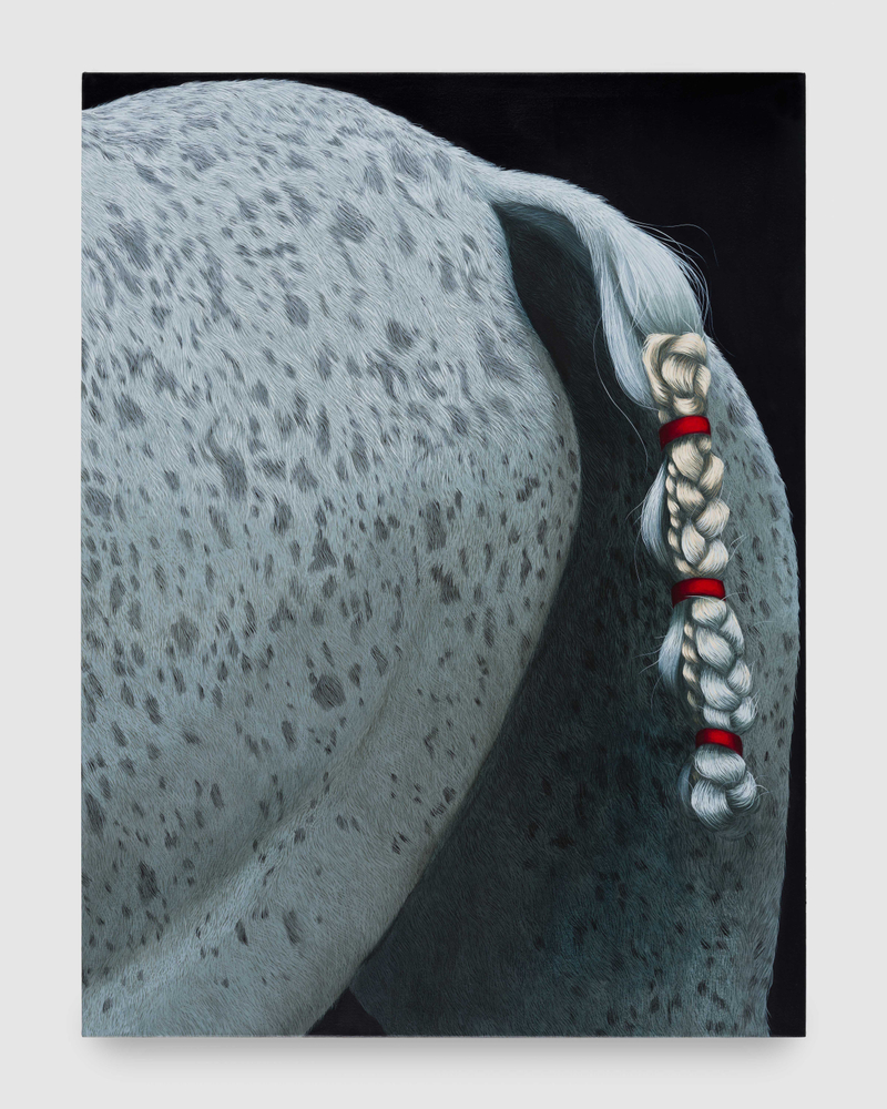 A painting by Sarah Miska of a horses' rear end with a braided tail tied with red elastic.