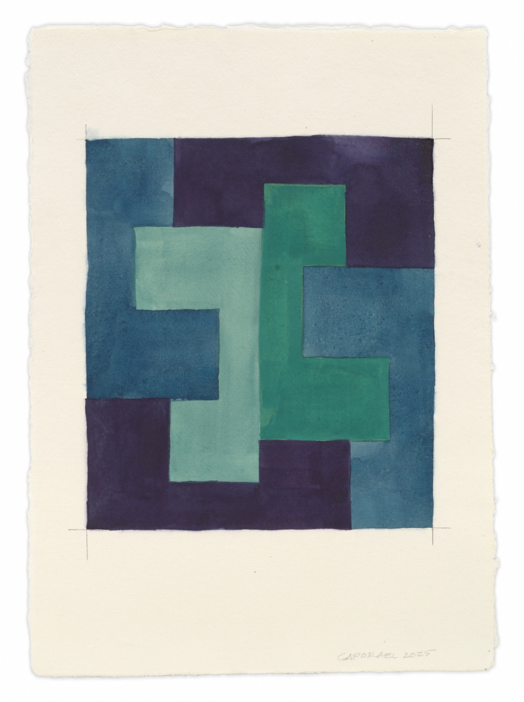 Suzanne Caporael,&amp;nbsp;Untitled (6 dodecominoes no. 1), 2025,
Pigment, photo retouch ink, and pencil on paper, 16 3/4 x 12 inches,
42.5 x 30.5 cm, MMG#37722