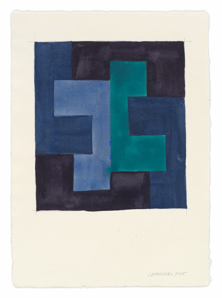 Suzanne Caporael, Untitled (6 dodecominoes no. 2), 2025,
Pigment, photo retouch ink, and pencil on paper,
16 1/2 x 11 3/4 inches, 41.9 x 29.8 cm, MMG#37709