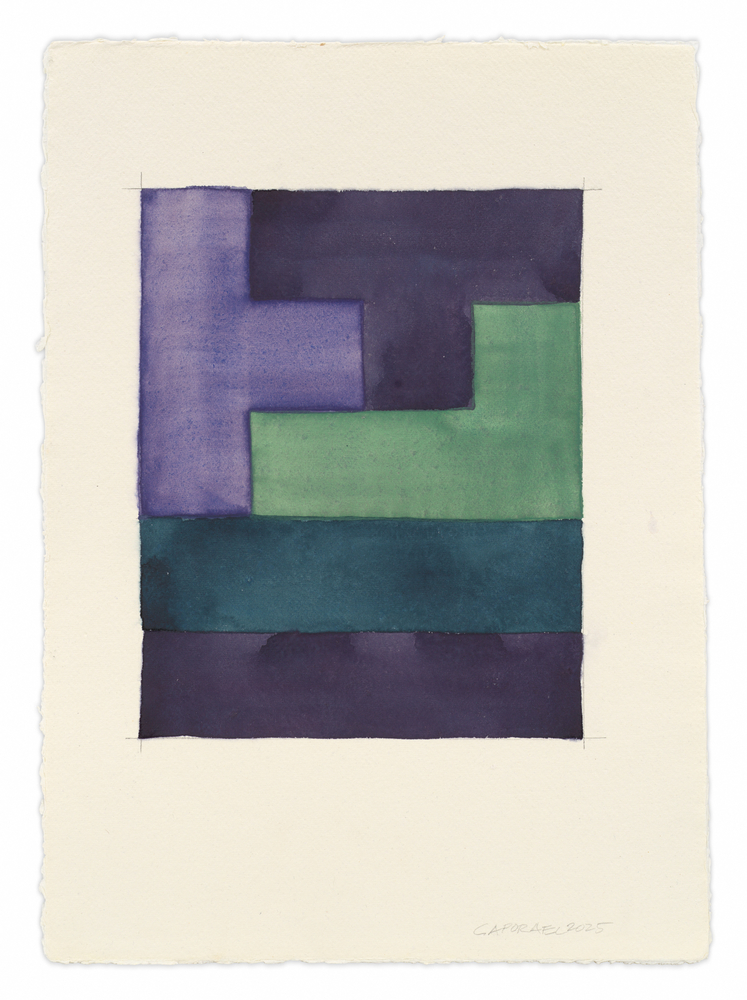 Suzanne Caporael,&amp;nbsp;Untitled (4 tetrominoes), 2025,
Pigment, photo retouch ink, and pencil on paper, 16 1/2 x 12 inches,
41.9 x 30.5 cm, MMG#37721