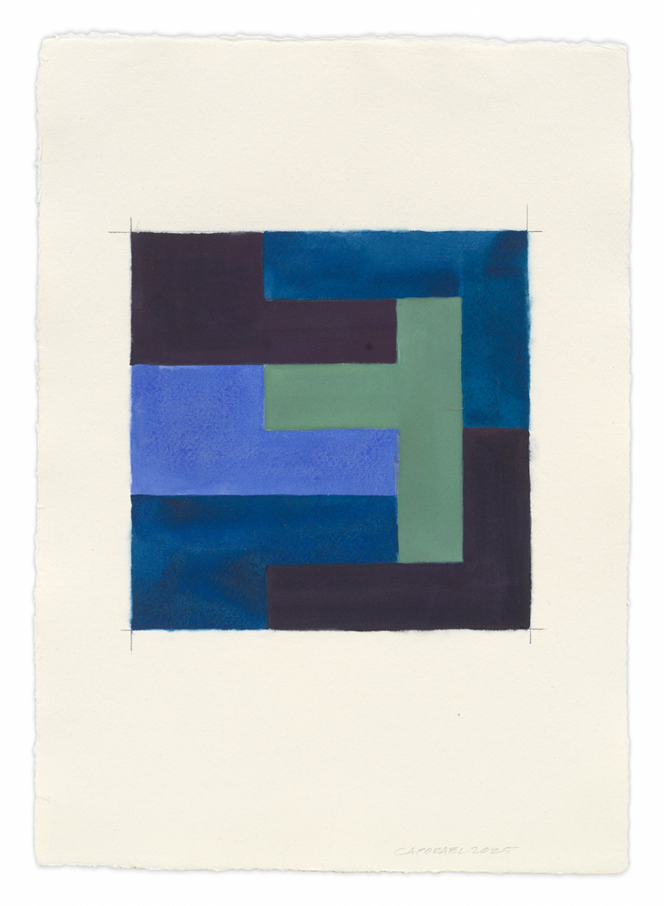 Suzanne Caporael, Untitled (P, Y, L hectominoes), 2025,
Pigment, photo retouch ink, and pencil on paper, 16 3/4 x 12 inches,
42.5 x 30.5 cm, MMG#37701