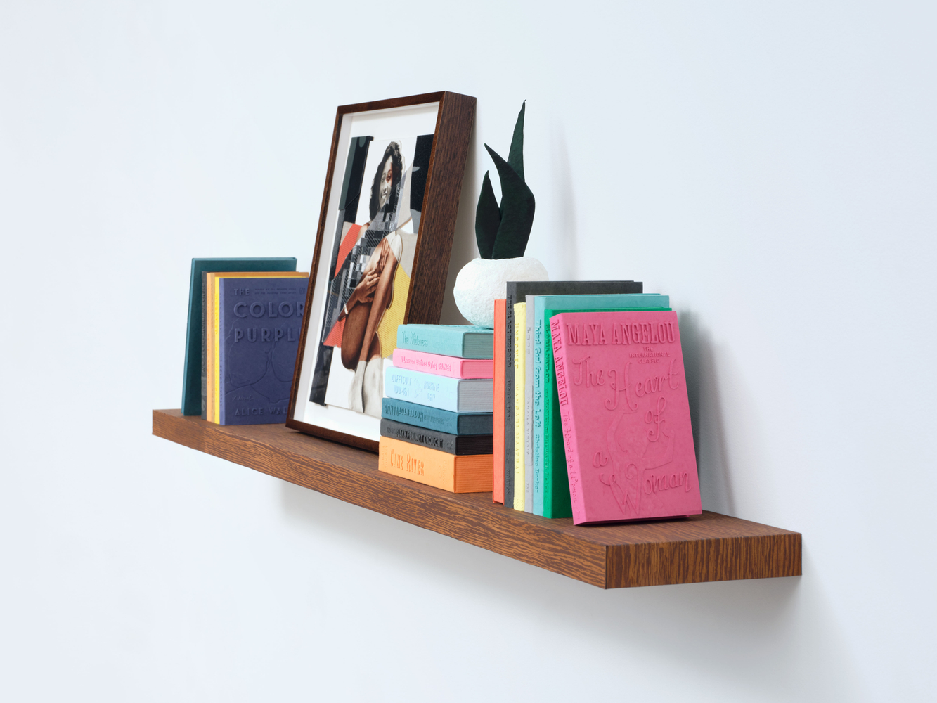 Jet Blue #21 Deux on Bookshelf with Plant, 2025