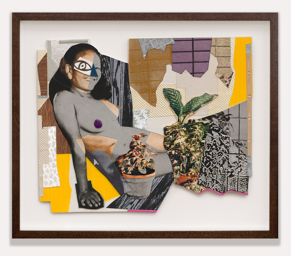 Jet Blue #4 Deux on Bookshelf with 2 Plants, 2025 (collage)