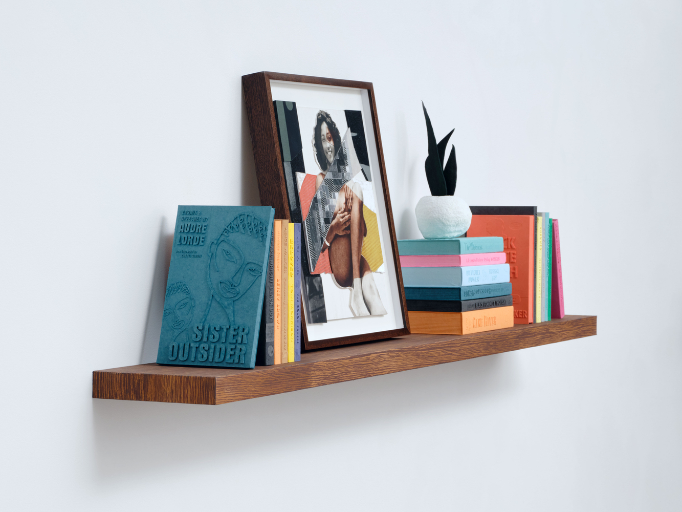 Jet Blue #21 Deux on Bookshelf with Plant, 2025