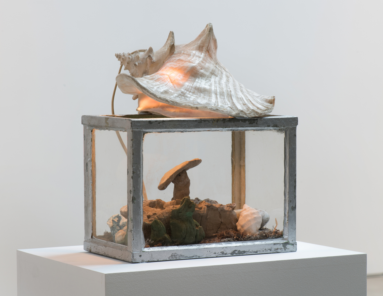 Paul Thek, Fish Tank, 1969