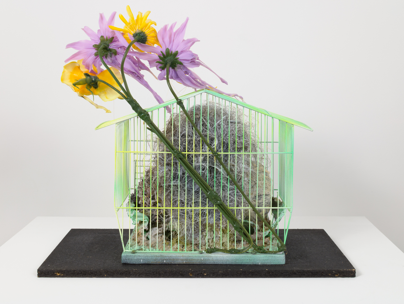 Technologies of the Self