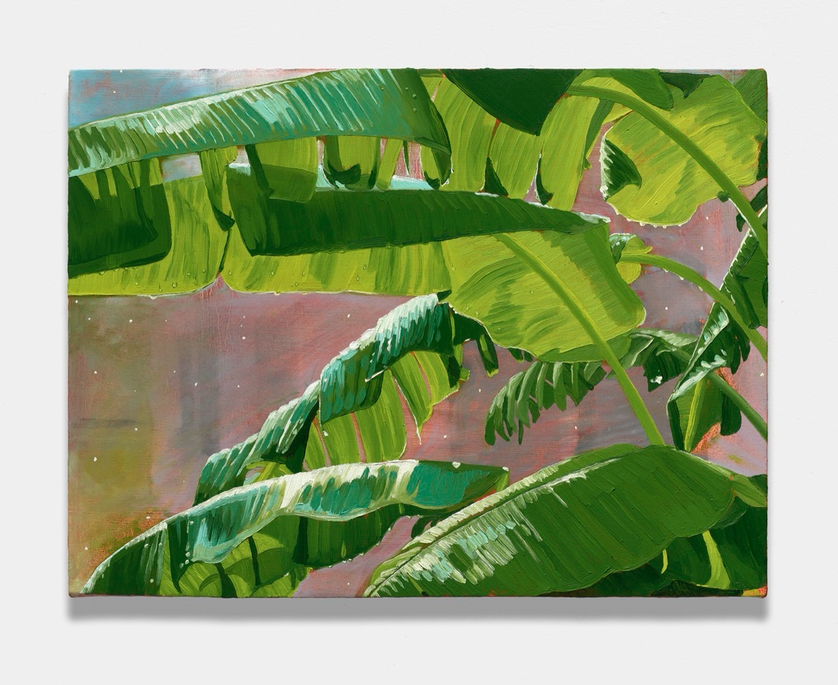 Charis Ammon Sun Shower, 2024 oil on canvas on board, 18 x 24 inches