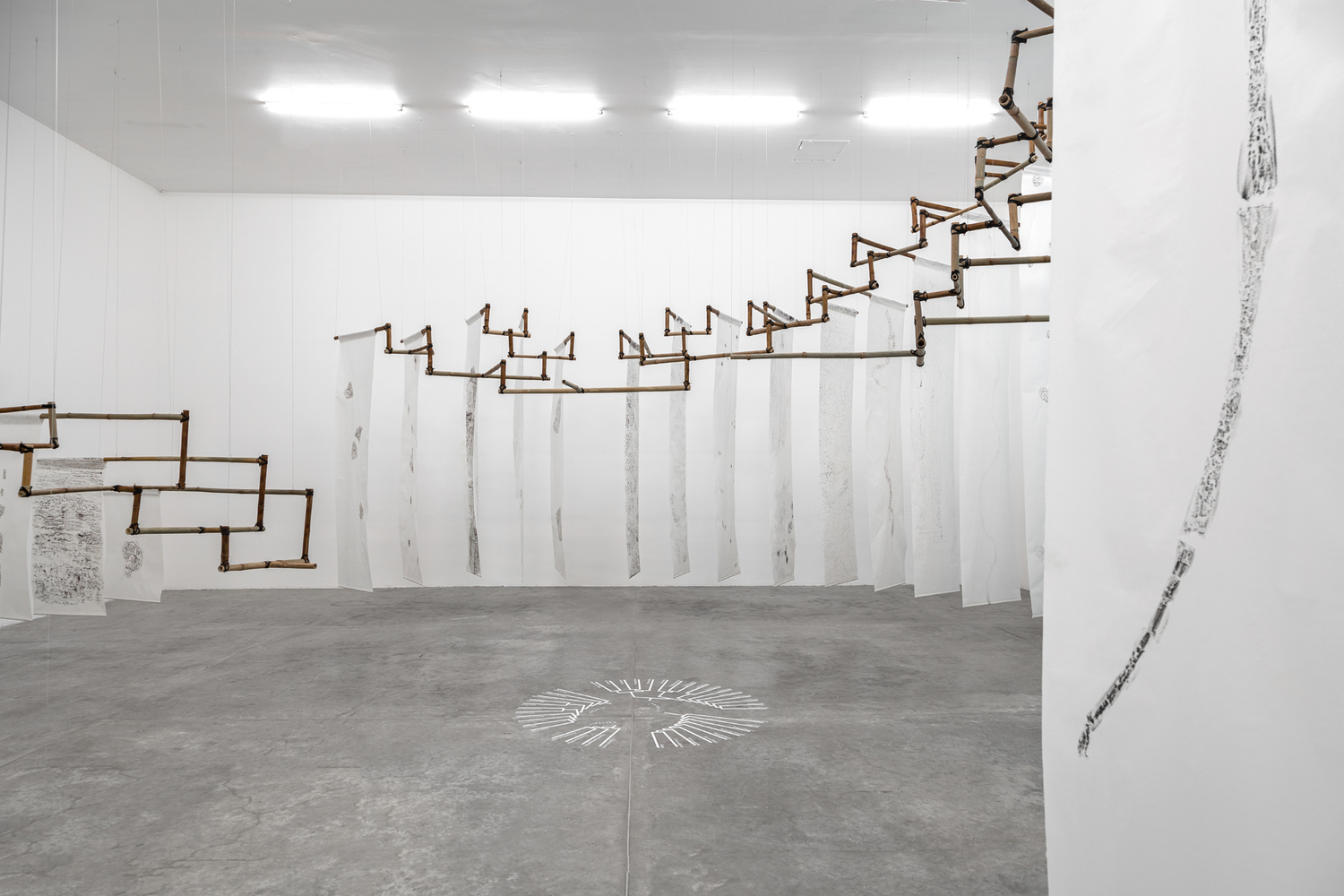 mariana castillo deball
hip&amp;oacute;tesis de un &amp;aacute;rbol, 2016
56 frottages, ink on japanese paper
variable dimensions


&amp;nbsp;
