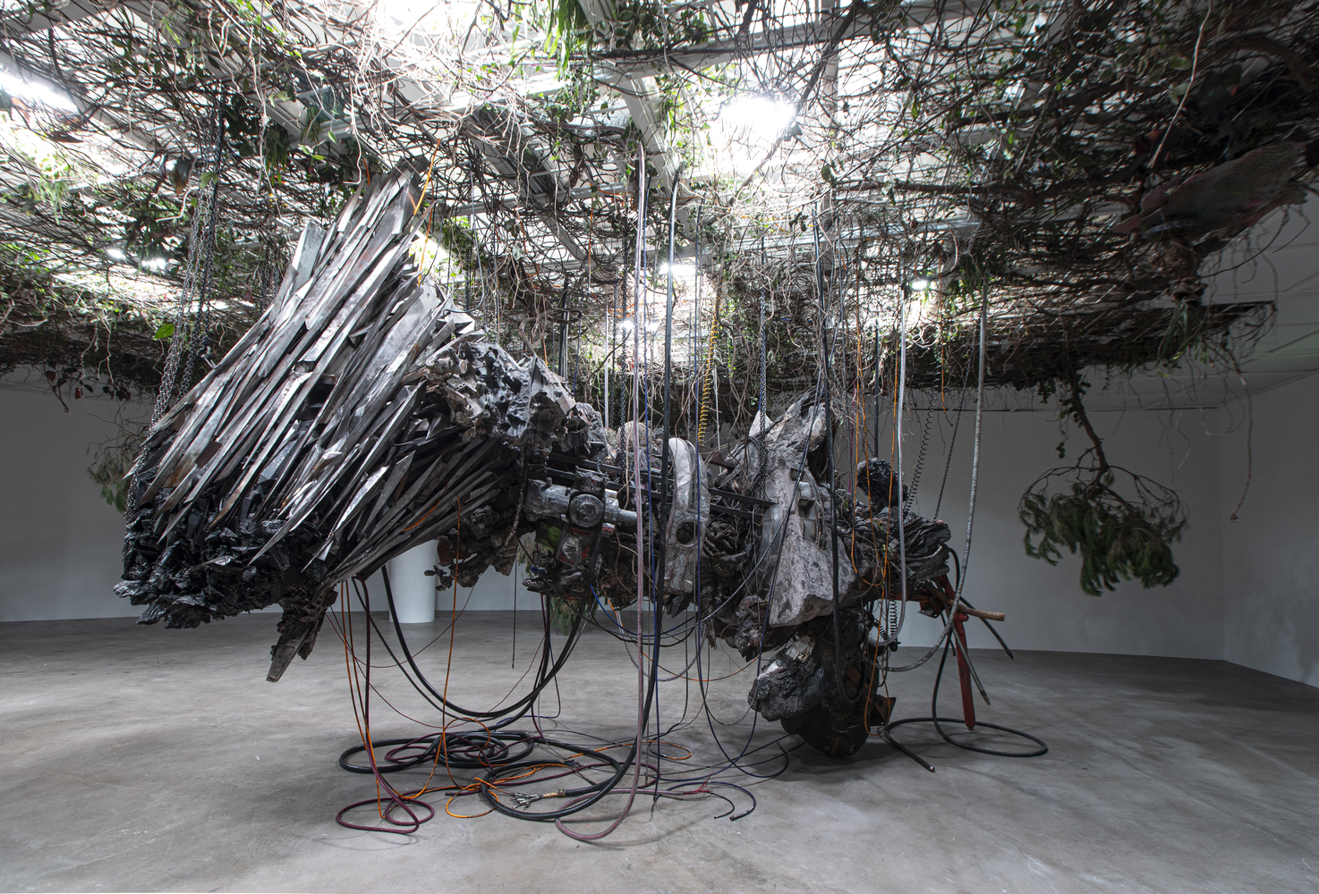 adri&aacute;n villar rojas