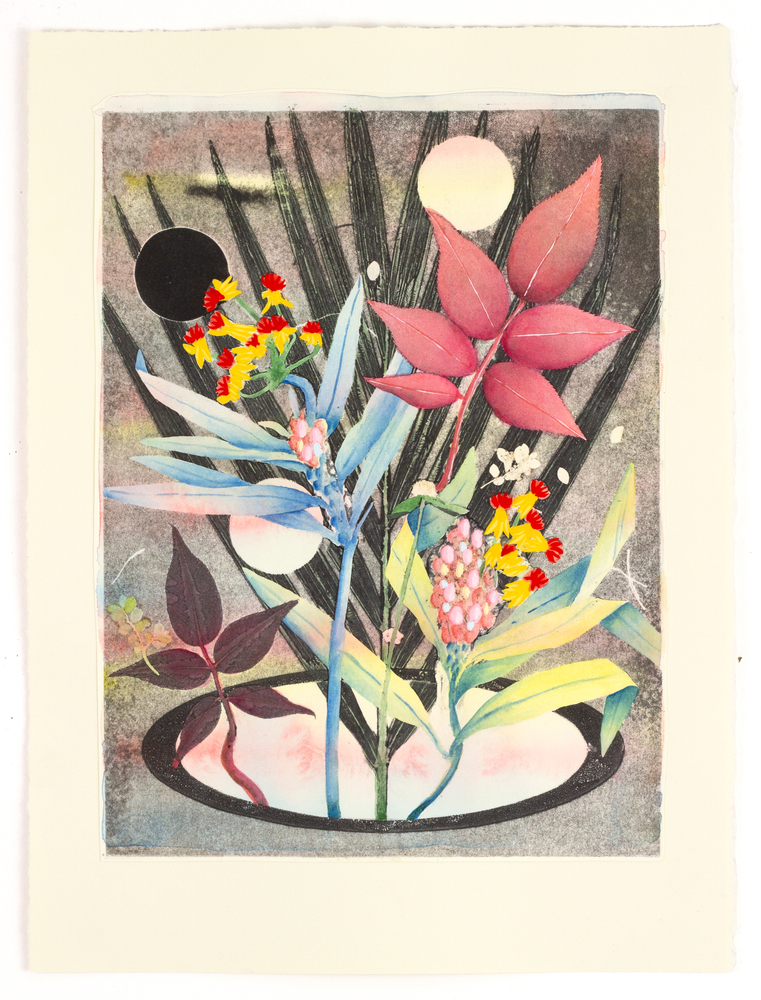 Milkweed scavenged from a crack in the sidewalk, 2024

monoprint, gouache on paper 11h x 15w in

&amp;nbsp;