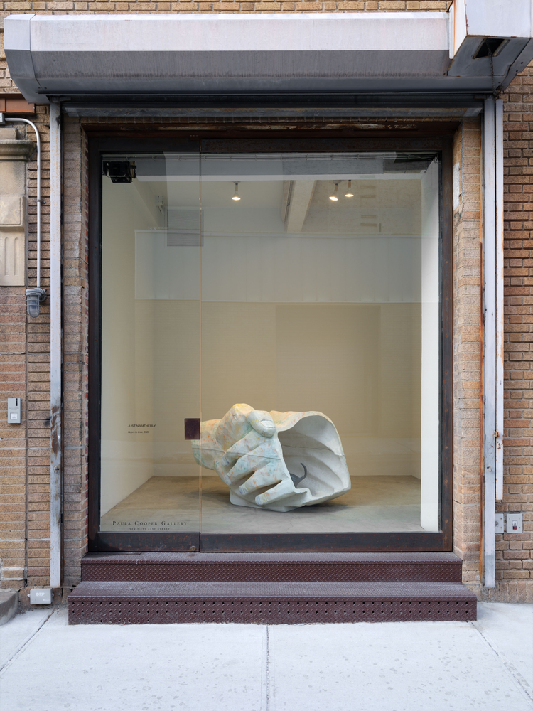 Installation view of Justin Matherly, Room to live (2020), Paula Cooper Gallery, New York.
