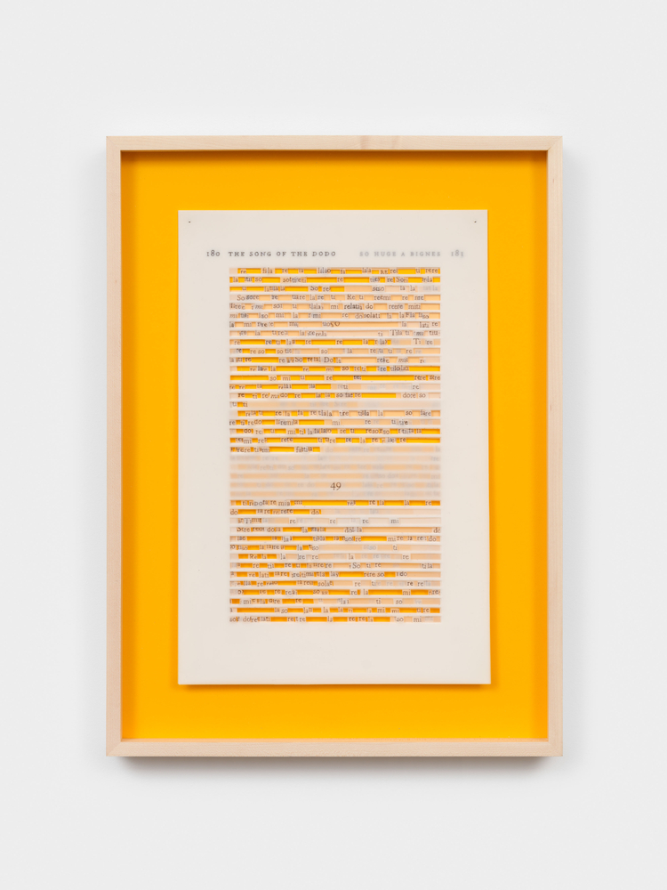 Jane Benson  So Huge a Bigness (David Quammen) VI, 2023  archival pen on polyester film and acrylic paint on matboard  20 5/8 x 14 in. (52.4 x 35.6 cm)