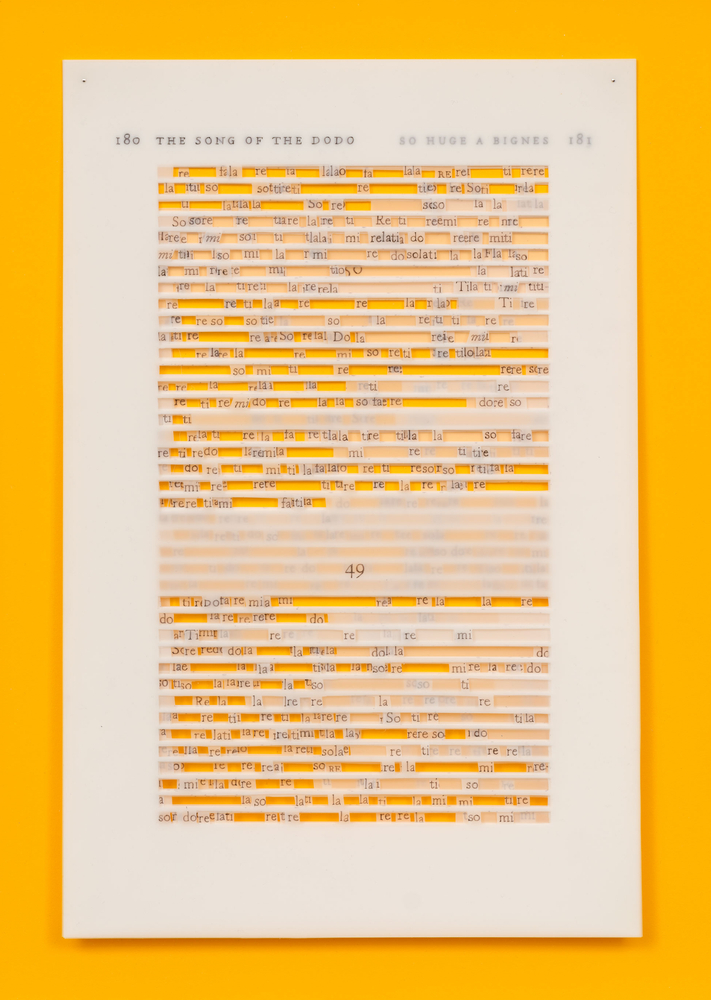 Jane Benson  So Huge a Bigness (David Quammen) VI, 2023  archival pen on polyester film and acrylic paint on matboard  20 5/8 x 14 in. (52.4 x 35.6 cm)