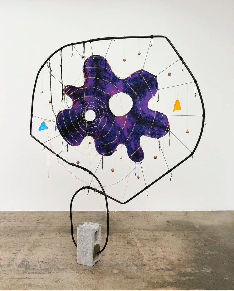 Michelle Segre

Alternative Entries, 2025

cement, metal, yarn, acrylic polymer, canvas, pastel, and wasp galls

95 x 72 x 12 in.
241.3 x 182.9 x 30.5 cm.

(MSEGRE001)