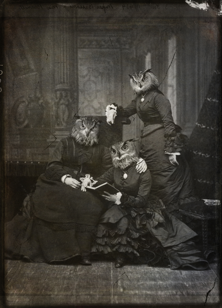 JBird Cremeans-Jbirdistheword