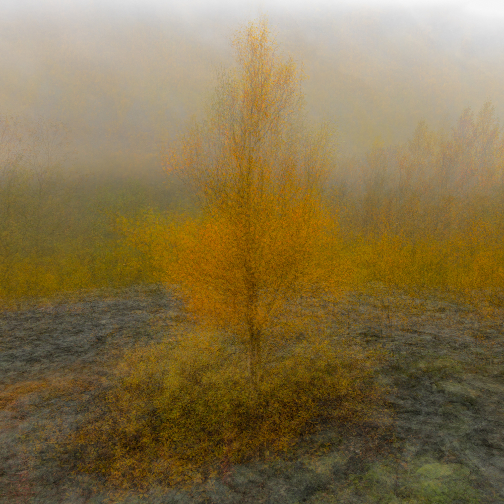 David Mangels-Four Crows Photography