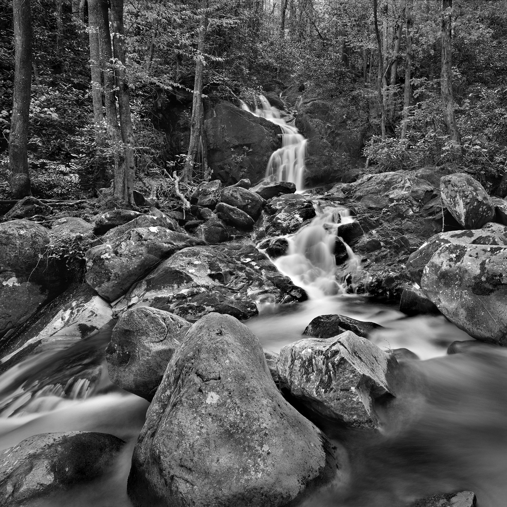 C.W. Banfield-The Wilderness Gallery