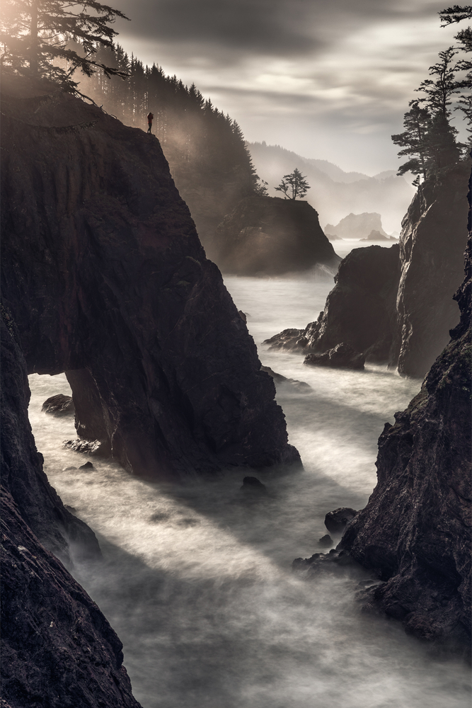 Jay Moore-Sororal Twin Studios