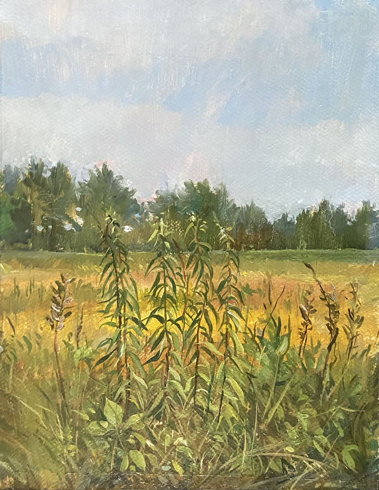 Field Study  14″ x 11″  Oil On Canvas