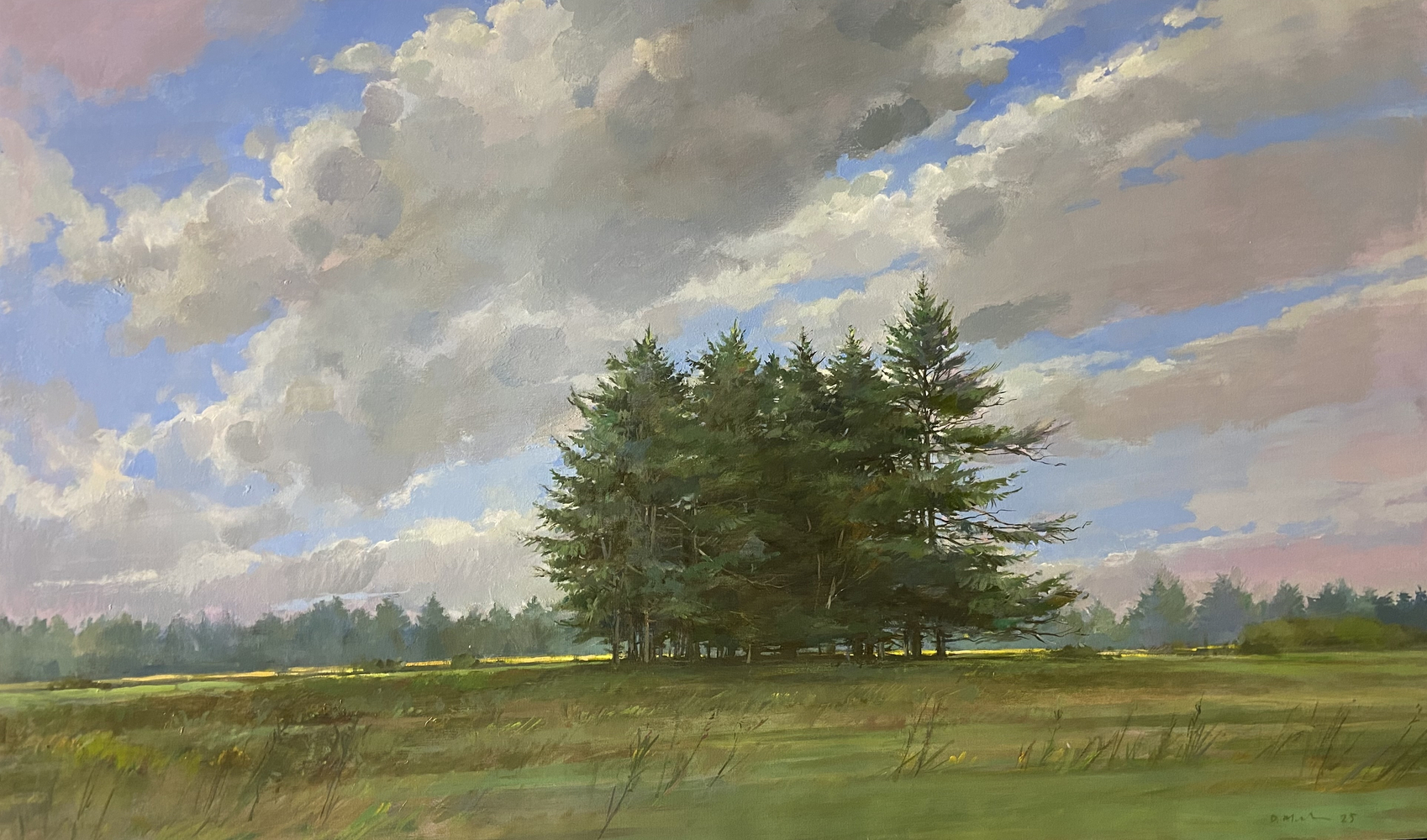 Pines  32" x 52"  Oil On Canvas