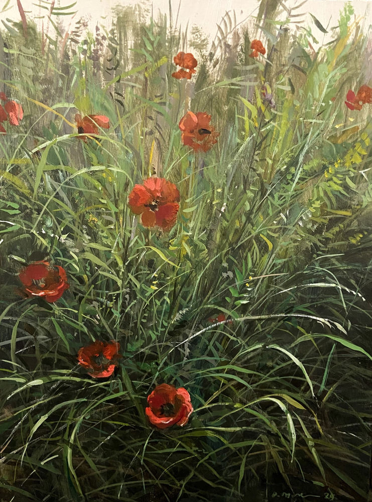 France Poppies III, Oil on wood, 16 x 12
