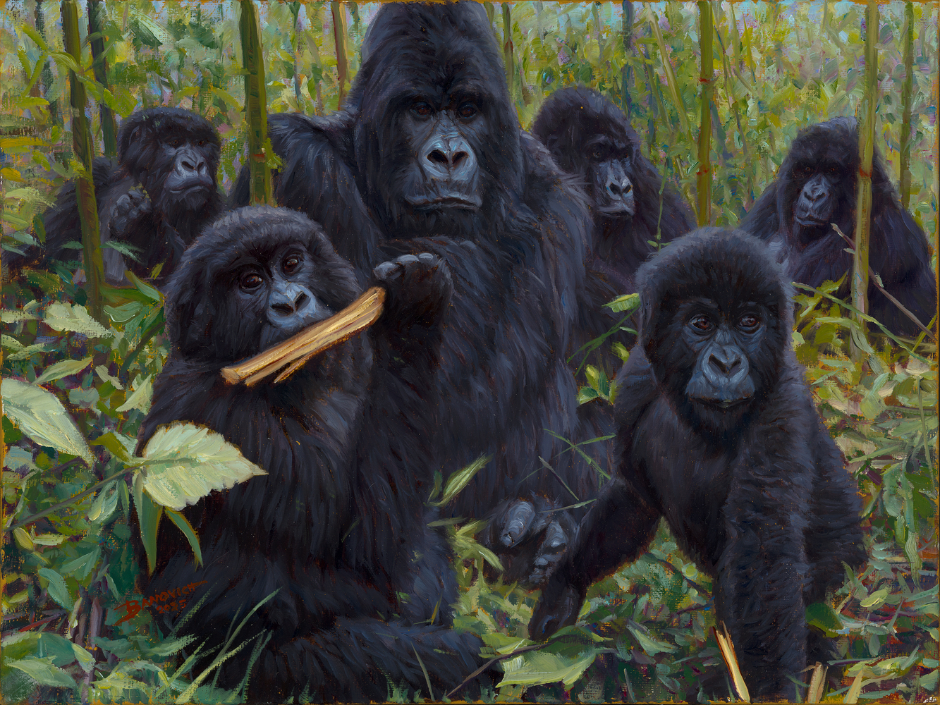 John Banovich
Forest Watch, 2025
oil on Belgian linen
9h x 12w in
22.86h x 30.48w x 1.27d cm
$ 6,500.00
&amp;nbsp;

When I set out to paint&amp;nbsp;Forest Watch, I wanted to bring viewers into the quiet world of a gorilla family. In the forest, life moves at its own rhythm. Feeding, resting, and always keeping watch. As I worked on this piece, I thought about how their eyes carry so much meaning: curiosity, caution, and the wisdom of life in the wild.

The forest itself is as much a part of the story as the gorillas. The tall bamboo and thick green leaves create both a shelter and a stage for their lives. To me, this scene is about connection, the bond of family, the protection of the forest, and the unspoken exchange between those who watch and those being watched.