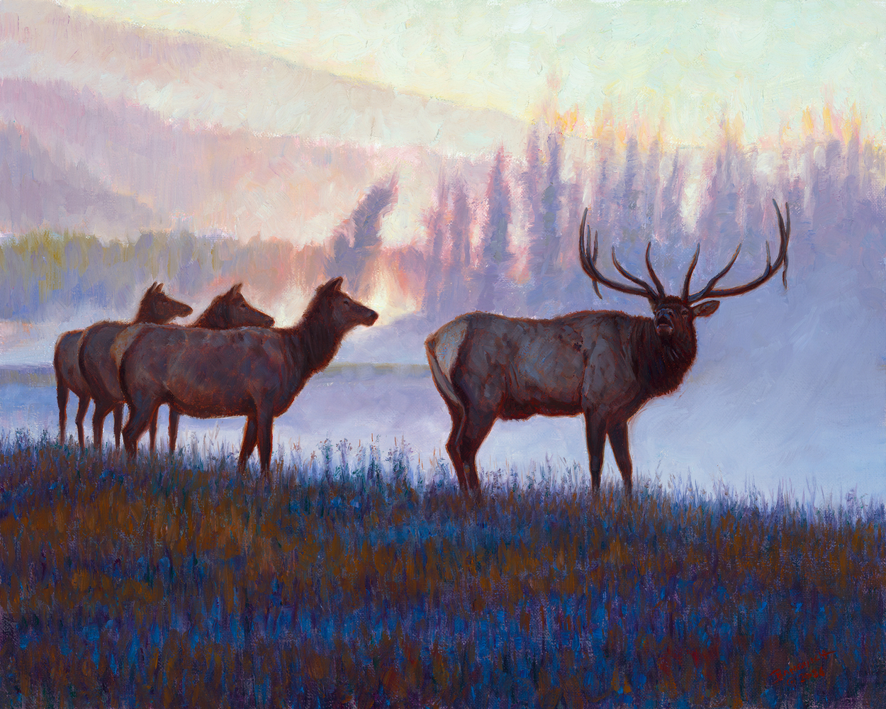 John Banovich
At the Edge of Dawn, 2026
oil on Belgian linen
13h x 16w in
33.02h x 40.64w x 1.91d cm
$ 12,500.00
&amp;nbsp;

At the edge of dawn, there is a brief pause, when night still lingers, yet the promise of light begins to reveal itself. In this moment, the&amp;nbsp;world feels hushed and watchful. I wanted this painting to live in that threshold.

The bull elk stands alert, powerful and resolute, his antlers cutting into the cool morning air like a crown shaped by time and survival.&amp;nbsp;Behind him, the cows emerge quietly from shadow, their forms softened by mist and distance. They are present but cautious, aware that&amp;nbsp;dawn brings both safety and exposure.

The light here is not yet warm, it is restrained, blue, and contemplative. I used color and atmosphere to suggest stillness rather than&amp;nbsp;movement, allowing the viewer to feel the tension and calm that coexist in wild places just before the day fully awakens. It&amp;rsquo;s the fragile&amp;nbsp;balance of wilderness moments that exist only briefly before they slip away.