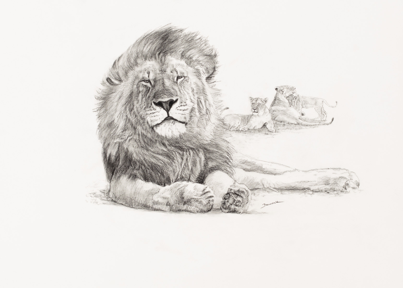 John Banovich

Lion Sketch, 2026

Black Conte Pencil

22h x 30w in
55.88h x 76.20w cm
$ 7,900.00