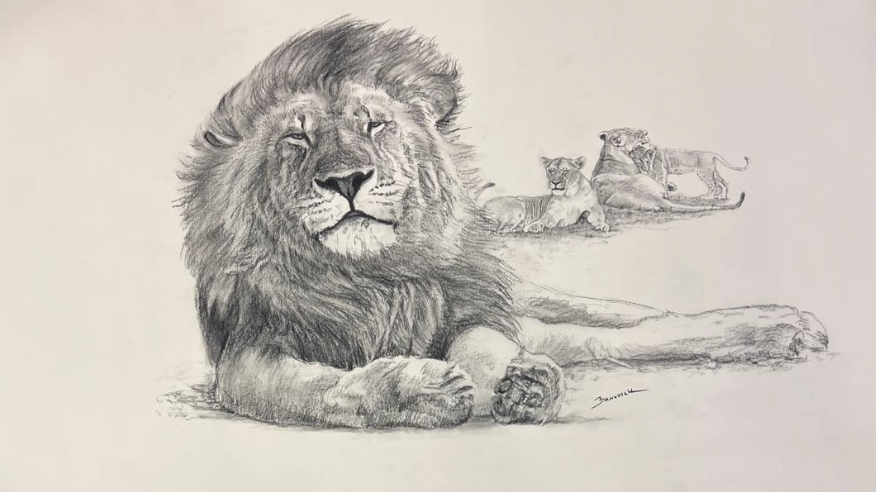 John Banovich

Lion Sketch, 2026

Black Conte Pencil

22h x 30w in
55.88h x 76.20w cm

JBO1295

$ 7,900.00