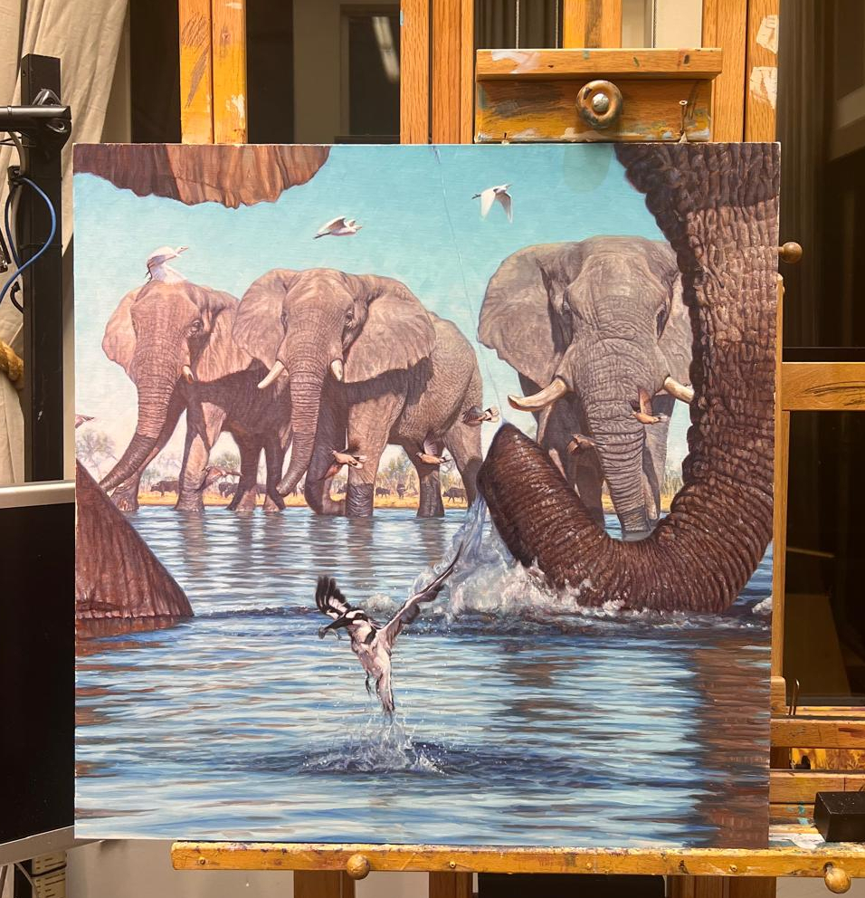 John Banovich
Shared Waters, 2026
oil on Belgian linen
30h x 30w x 1.25d in
76.20h x 76.20w x 3.18d cm
$ 45,000.00
&amp;nbsp;

In&amp;nbsp;&amp;ldquo;Shared Waters,&amp;rdquo;&amp;nbsp;I wanted to capture a moment of quiet convergence, a place where life gathers not in conflict, but in mutual need. Water is the essence of life in Botswana, and when the floods arrive, it&amp;rsquo;s known as the season of &amp;ldquo;Pula.&amp;rdquo; It draws the largest and the smallest together, binding them in a fragile, unspoken agreement.

The painting itself became part of that story. I position the viewer at the water level, as if you, the viewer, were actually part of the story. I framed the scene through the curve of an elephant&amp;rsquo;s trunk to invite the viewer into the water itself, to stand at eye level with this shared moment rather than observe it from a distance. The splash at the center is intentional, as a pied kingfisher emerges with a small fish, leading your eye into the scene and reminding us that the wild is never static. That gesture reminds me that even in moments of calm, the wild is alive with motion.

This painting is my reflection on coexistence. In a world that often emphasizes separation, the natural world continues to show us something else: that survival, beauty, and balance are found where paths intersect and precious water resources are shared.