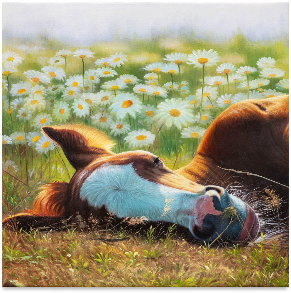 Marc Dennis, Shunka Wakan (Shoon-kah Whah-kahn), 2023