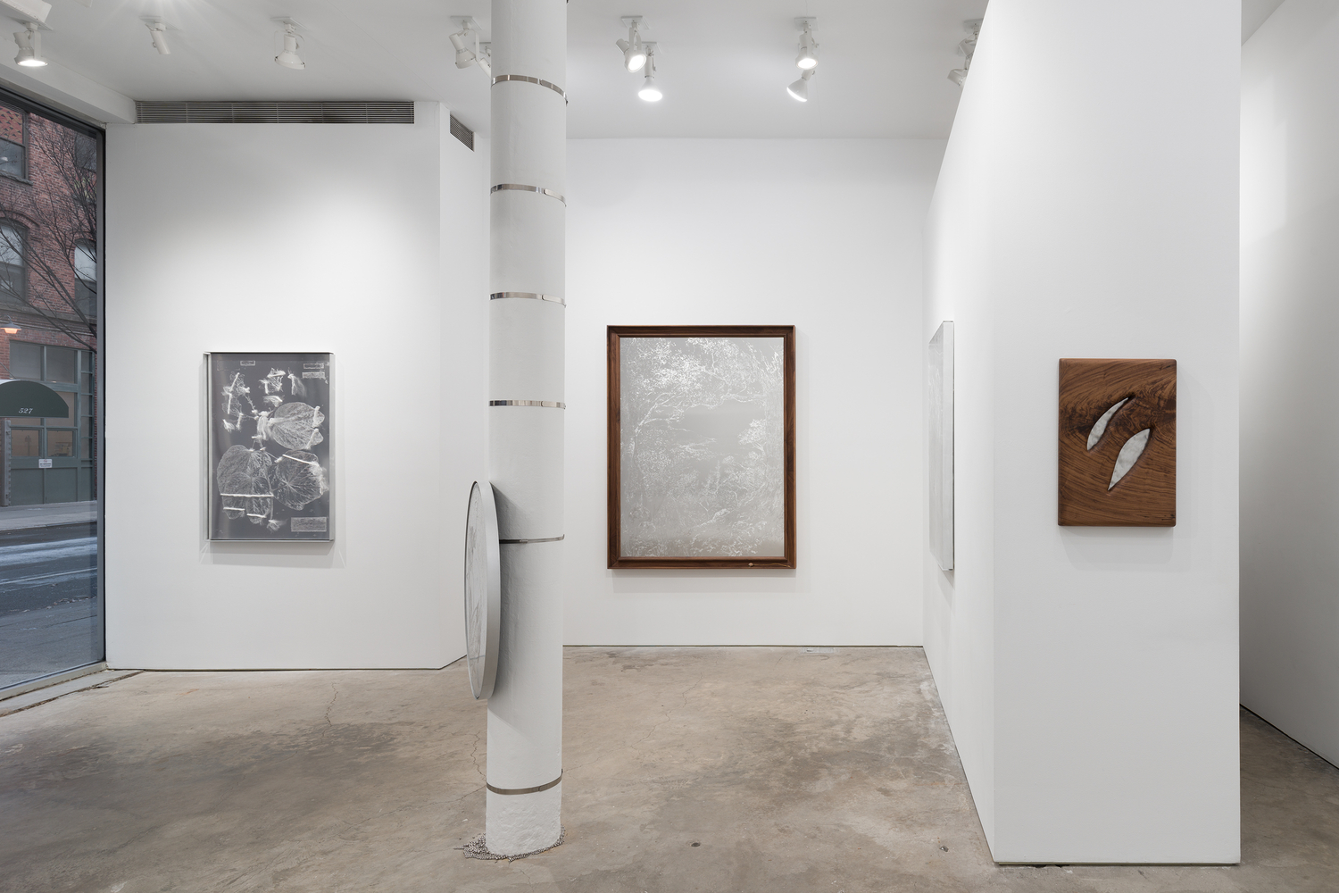 Sharon Cheuk Wun Lee: Possibly, Here [ 遠根近花 ] (installation view)