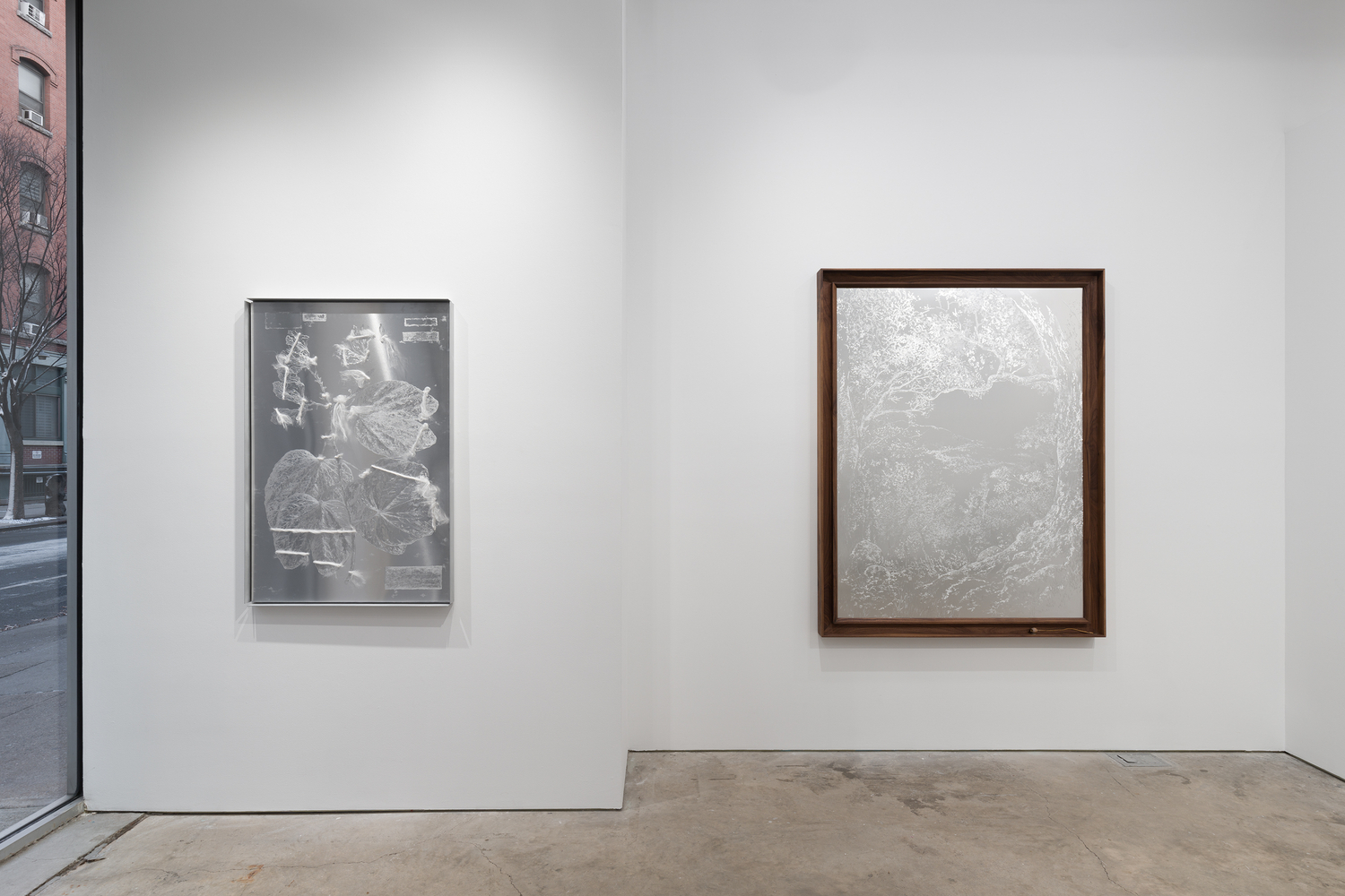 Sharon Cheuk Wun Lee: Possibly, Here [ 遠根近花 ] (installation view)