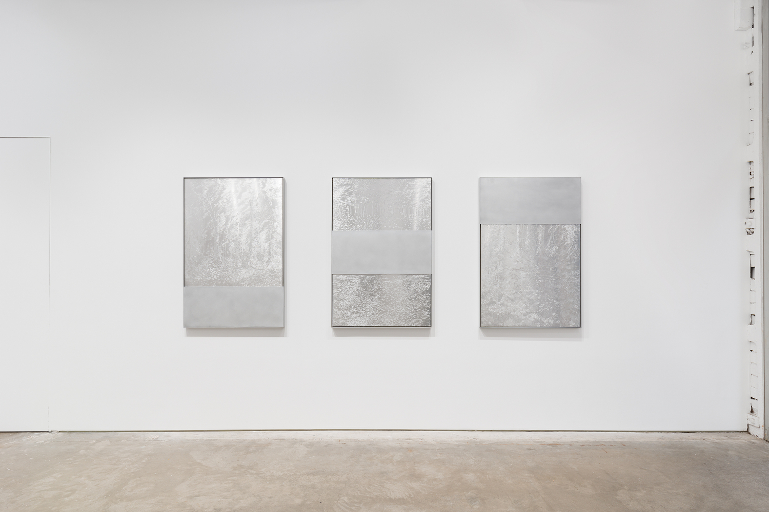 Sharon Cheuk Wun Lee: Possibly, Here [ 遠根近花 ] (installation view)