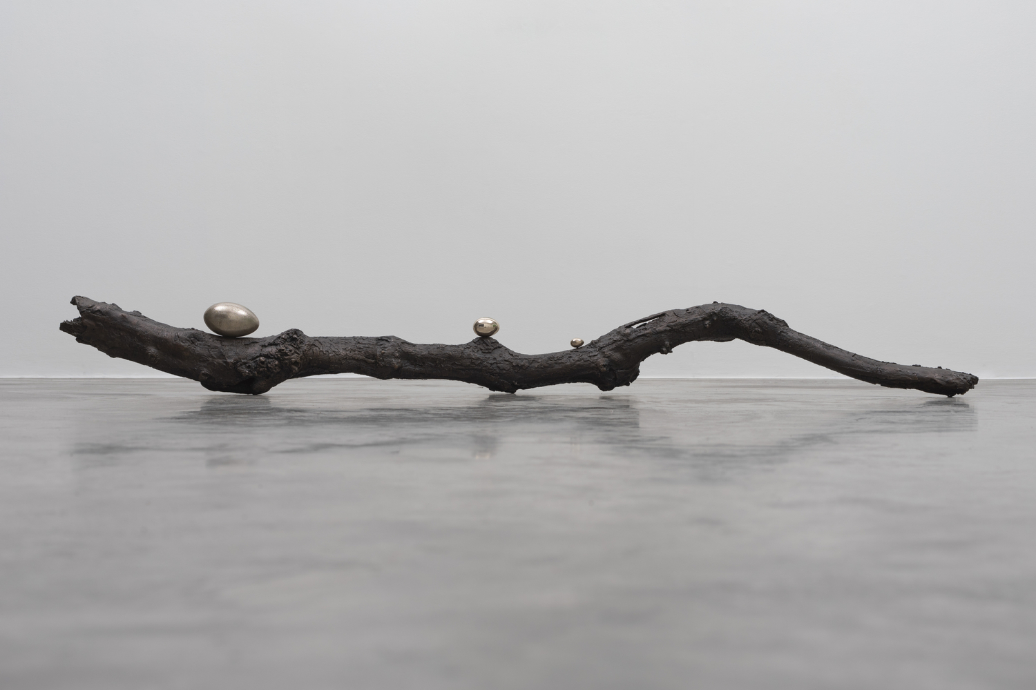 Dorothy Cross&amp;nbsp;

Branch,&amp;nbsp;2017

cast bronze branch and three polished bronze eggs

20 x 203 x 15 cm / 7.9 x 79.9 x 5.9 in

&amp;nbsp;