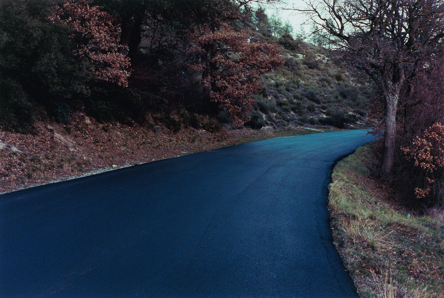 Samuel Laurence Cunnane

Blue road, 2023

Hand-printed C-type print on archival photo paper, framed

edition of 3 + 1AP

32 x 47.5 cm / 12.6 x 18.7 in image size
